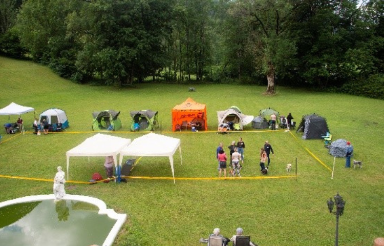 Showhunde-Trainingsworkshopin Sommaruga