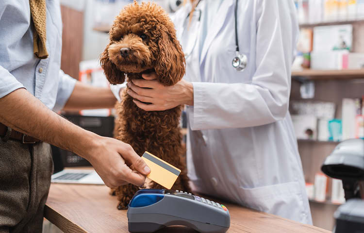 Cropped view of a man paying with a credit card for vet bills of his pet Toy Poodle who is sat on the reception desk