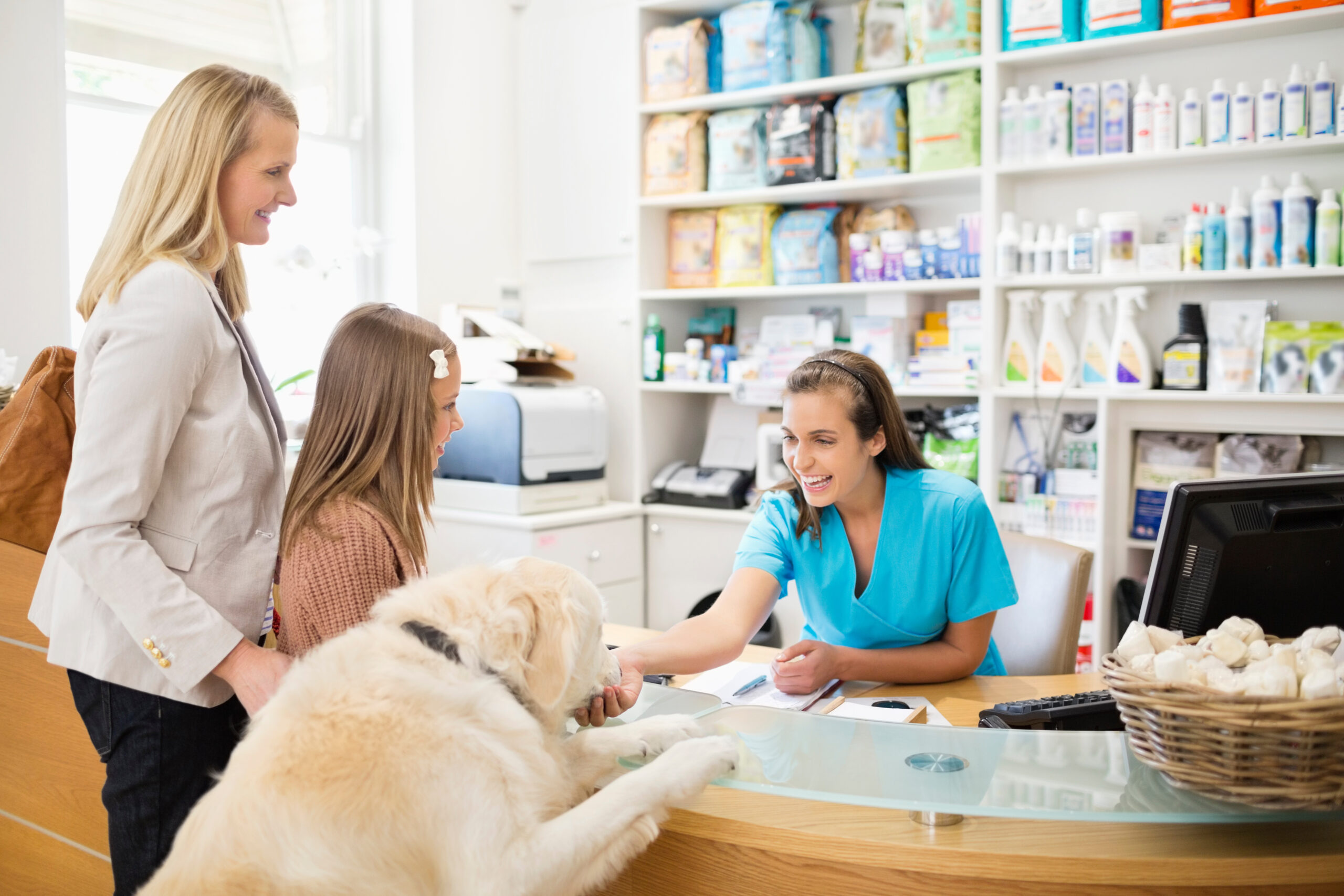 Practical Chart Summer readiness for veterinary clinics: A practical guide