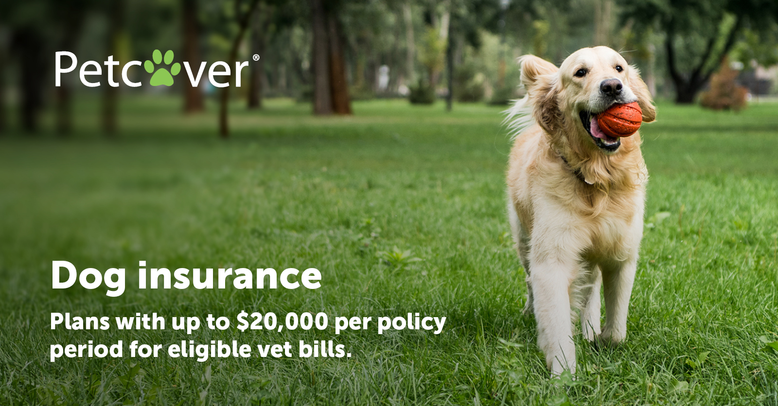 Dog insurance | Get A Quote Now | Insurance from Petcover Australia