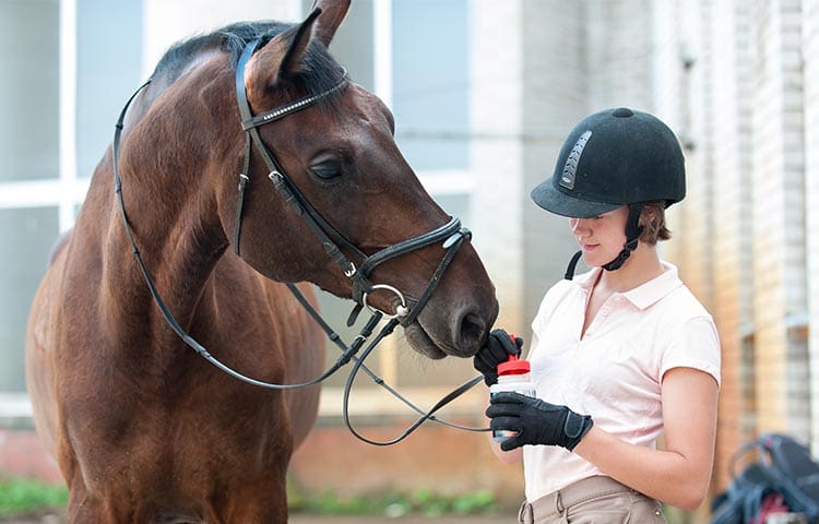 woman-giving-medicine-to-horse
