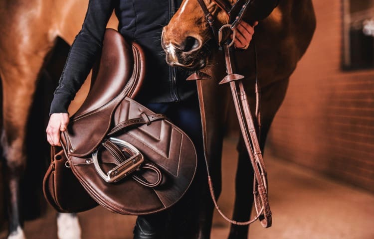 Horse Rider with Brown Leather Saddle 