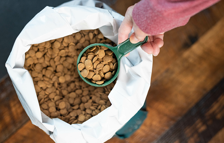 Petcover-Cat-Dental-Health-Dry-Kibble-Food