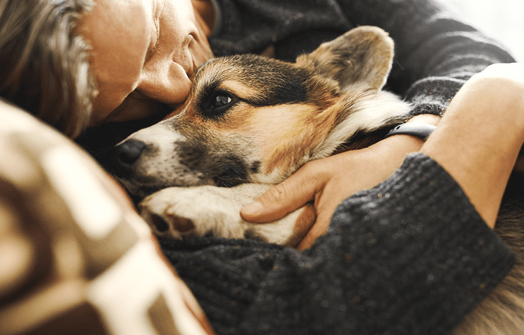 Close-up-of-mixed-breed-brown-and-black-dog-snuggles-with-his-male-owner