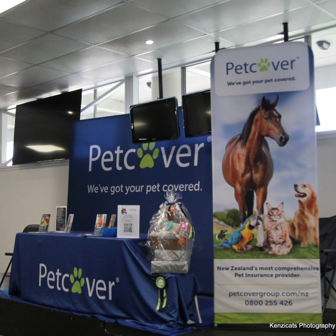 Patches and Pointed Inc. Cat of the Year 2023 Show Petcover NZ