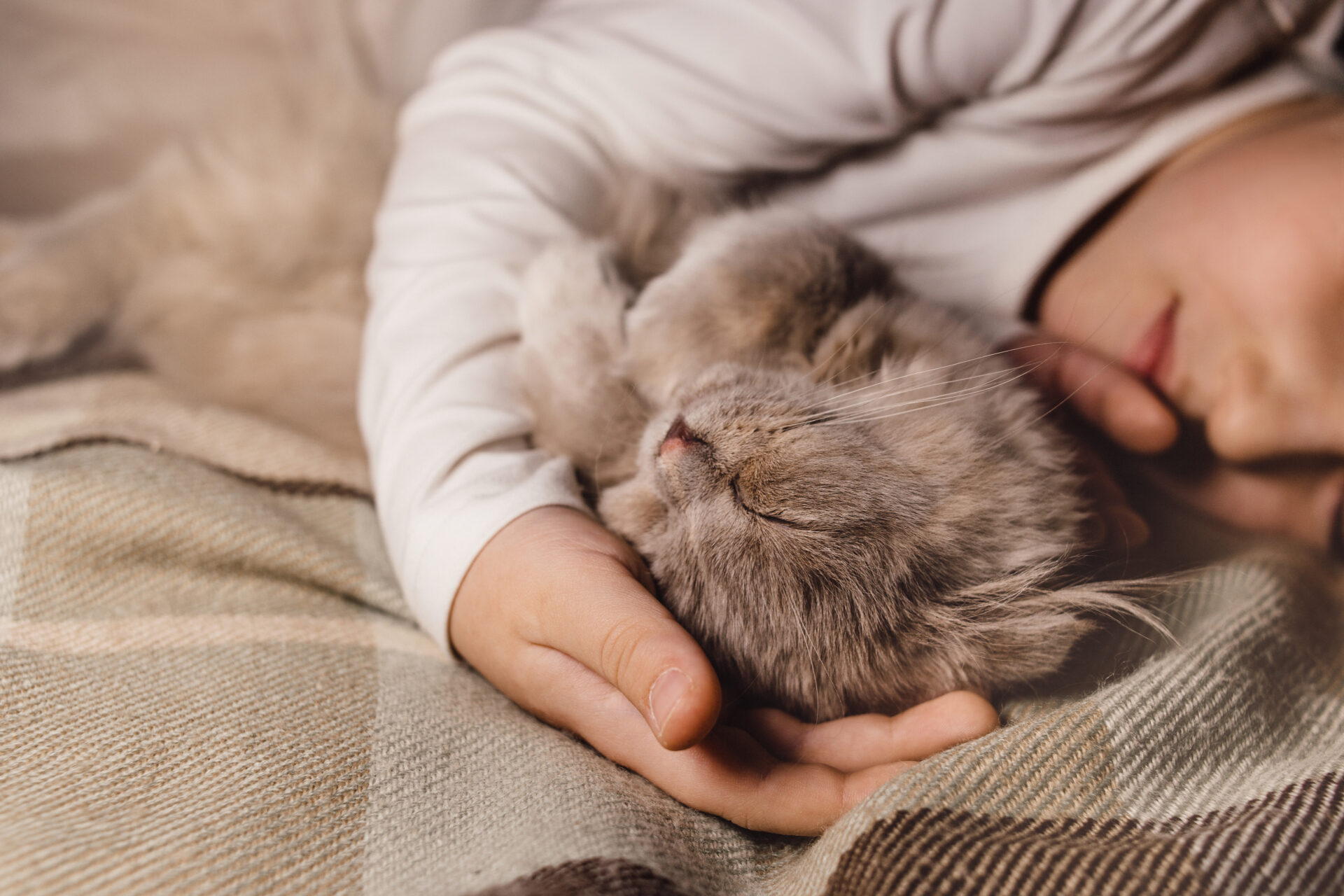 How do pets help mental health Petcover NZ