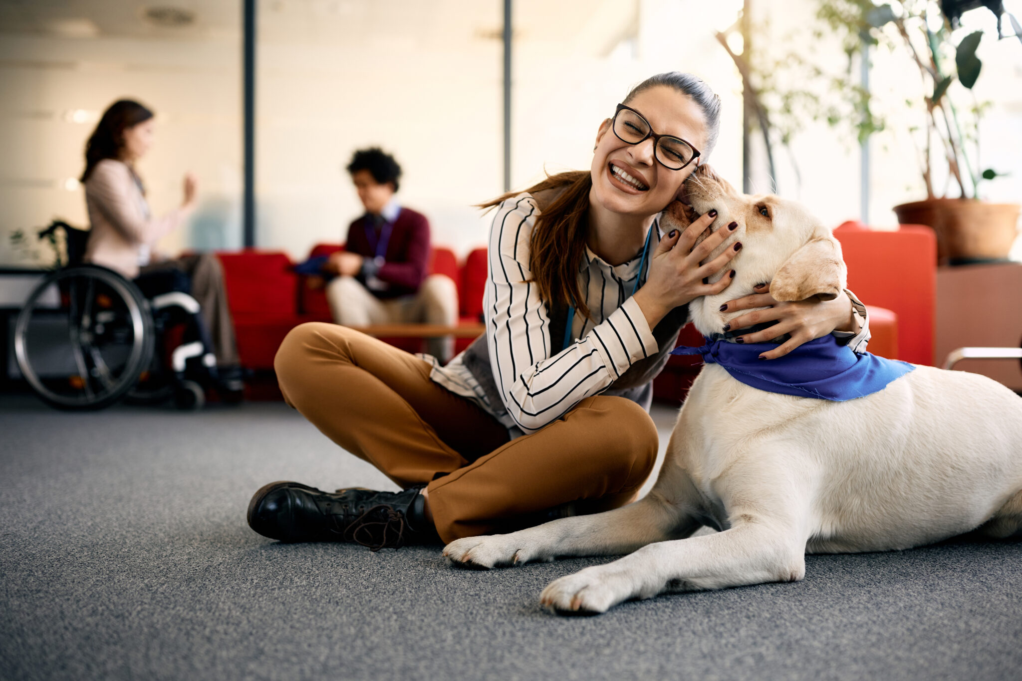 How do pets help mental health Petcover NZ